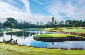 tpc sawgrass 17th hole