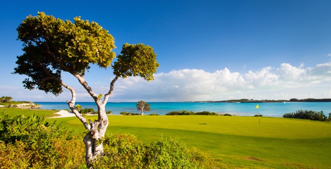 Royal Blue Golf Course - Baha Mar