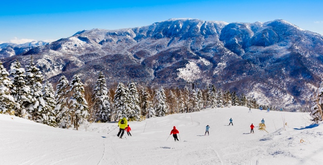 Shiga Kogen Ski Area